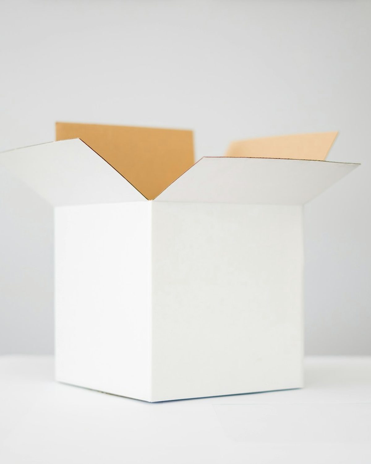 Open white box with kraft inner flaps